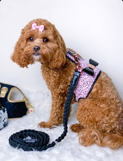 The Dahlia Dog Harness