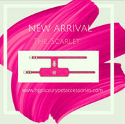 The Scarlet Dog Harness