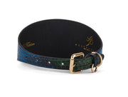 Blue, Green, Black, Yellow Snake 3” Wide Style Collar