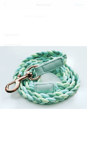 Dog Lead Aquamarine Plaited