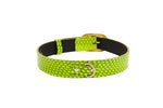Neon Green Snake/Vintage Black & Gold Italian HardwareCollar