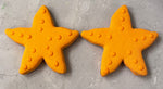 Starfish Treats - Set of 2