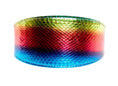 Load image into Gallery viewer, Pride Collection. Rainbow Snake 3” Wide Style Collar
