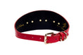 Load image into Gallery viewer, Gorgeous Red Italian Leather 3” Wide Style Collar With Custom Gold Starfish
