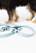 Load image into Gallery viewer, Dusty Blue Adjustable Leash by The Modern Dog Company, featuring a sleek design and durable material, with a dog in the backg
