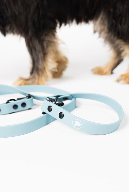 Dusty Blue Adjustable Leash by The Modern Dog Company, featuring a sleek design and durable material, with a dog in the backg
