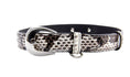 Load image into Gallery viewer, Black & White Viper Snake Collar With Silver Oval Italian Hardware
