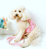 The Peony Dog Harness