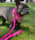 Dog Collar Lipstick Pink
