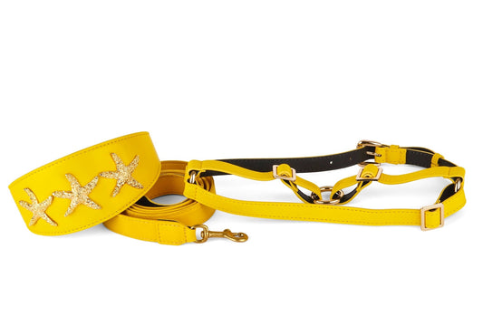 Smooth Yellow Italian Leather 3 Wide Style Collar Set  With Custom Gold Starfish