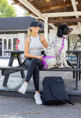 Load image into Gallery viewer, Woman in athletic wear sits on a bench with a dog wearing an electric fuchsia collar, next to a black backpack.
