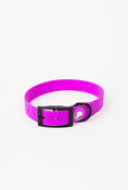 Load image into Gallery viewer, Electric fuchsia dog collar by The Modern Dog Company, weather and odor resistant, featuring a black buckle and logo.
