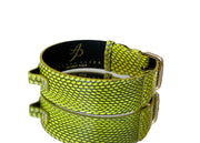 Luxury Pet Fashion Neon Green Snakeskin Collar/Classic Hardware