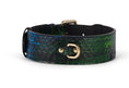 Load image into Gallery viewer, Blue, Green, Black, Yellow Snake Classic Collar
