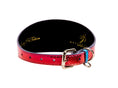 Load image into Gallery viewer, Pride Collection. Rainbow Snake 3” Wide Style Collar
