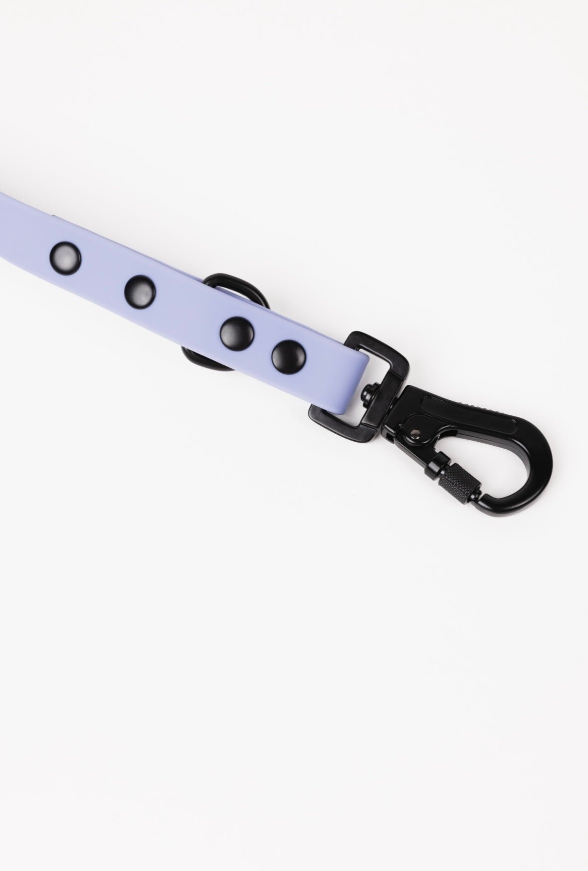 Lavender purple adjustable dog leash with black hardware and buttons, featuring a sturdy clip for attachment.
