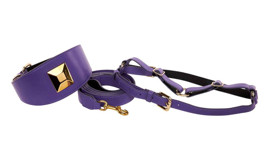 Purple Italian Leather 3” Wide Style Collar, With Custom Large Gold Rivet, Leash & Harness Set