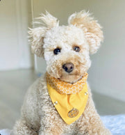 The Bumble Bee Scarf