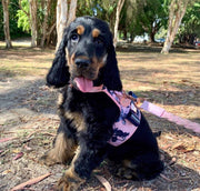 The Blossom Dog Harness