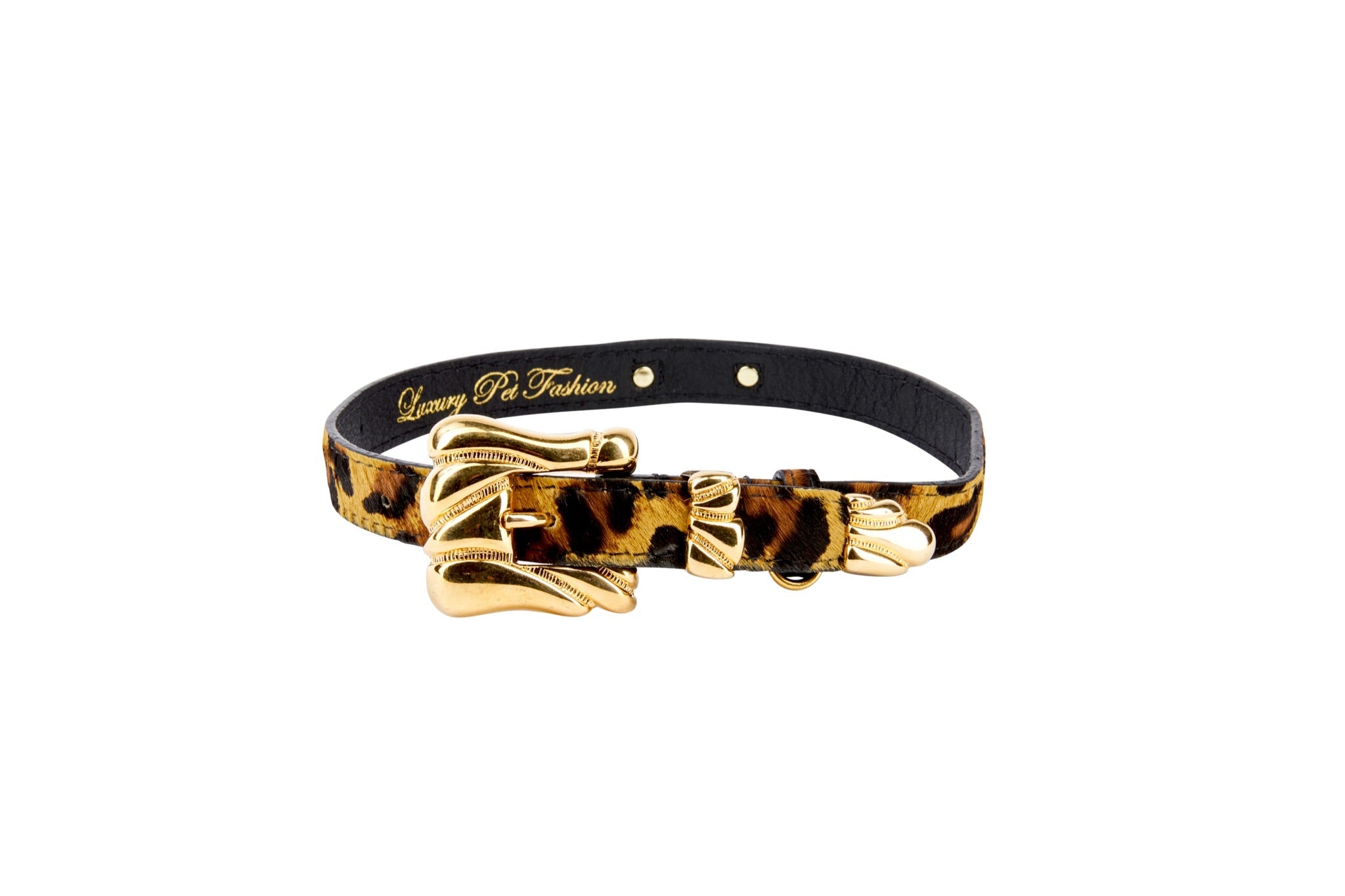 Leopard Print Hair On Hide Italian Leather Collar With Ornate Italian Hardware