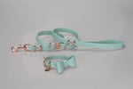 Leather Bow Collar (only) - Aquamarine