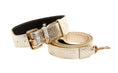 Load image into Gallery viewer, Gold Snake Collar & Leash Set With Classic Hardware
