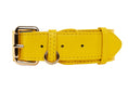 Load image into Gallery viewer, Yellow Italian Leather Classic Collar/Gold Classic Hardware
