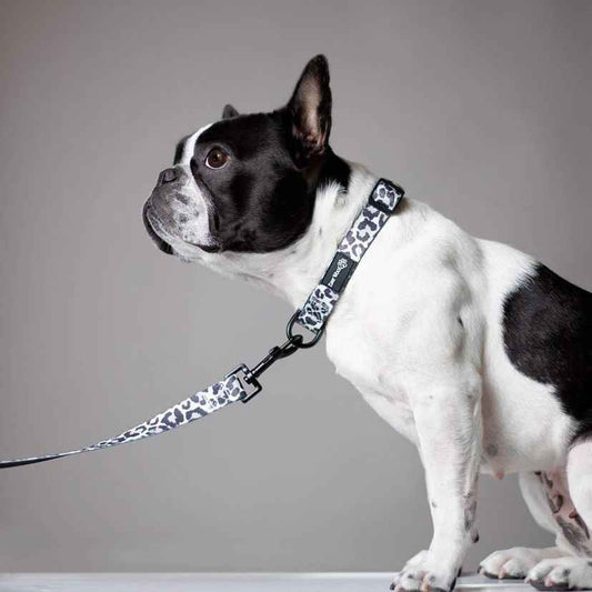 Ever So Wild Collar