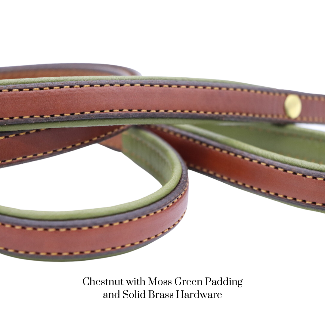 Padded Dog Collar - image 20