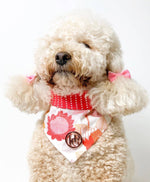 The Waratah Scarf