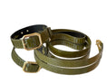 Load image into Gallery viewer, Luxury Pet Fashion Olive Snakeskin Collar & Leash Set
