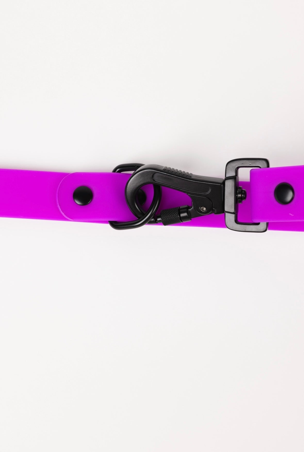 Electric fuchsia dog leash by The Modern Dog Company, featuring a black clip and weather-resistant design.