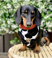 The Jessie Scarf - No.1