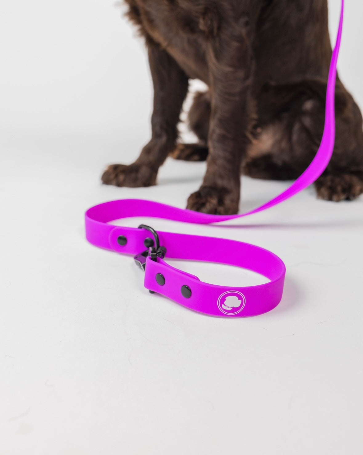 Electric fuchsia dog leash by The Modern Dog Company, weather and odor resistant, with a sturdy clip and logo detail.