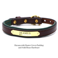 Load image into Gallery viewer, Padded Dog Collar - image 14
