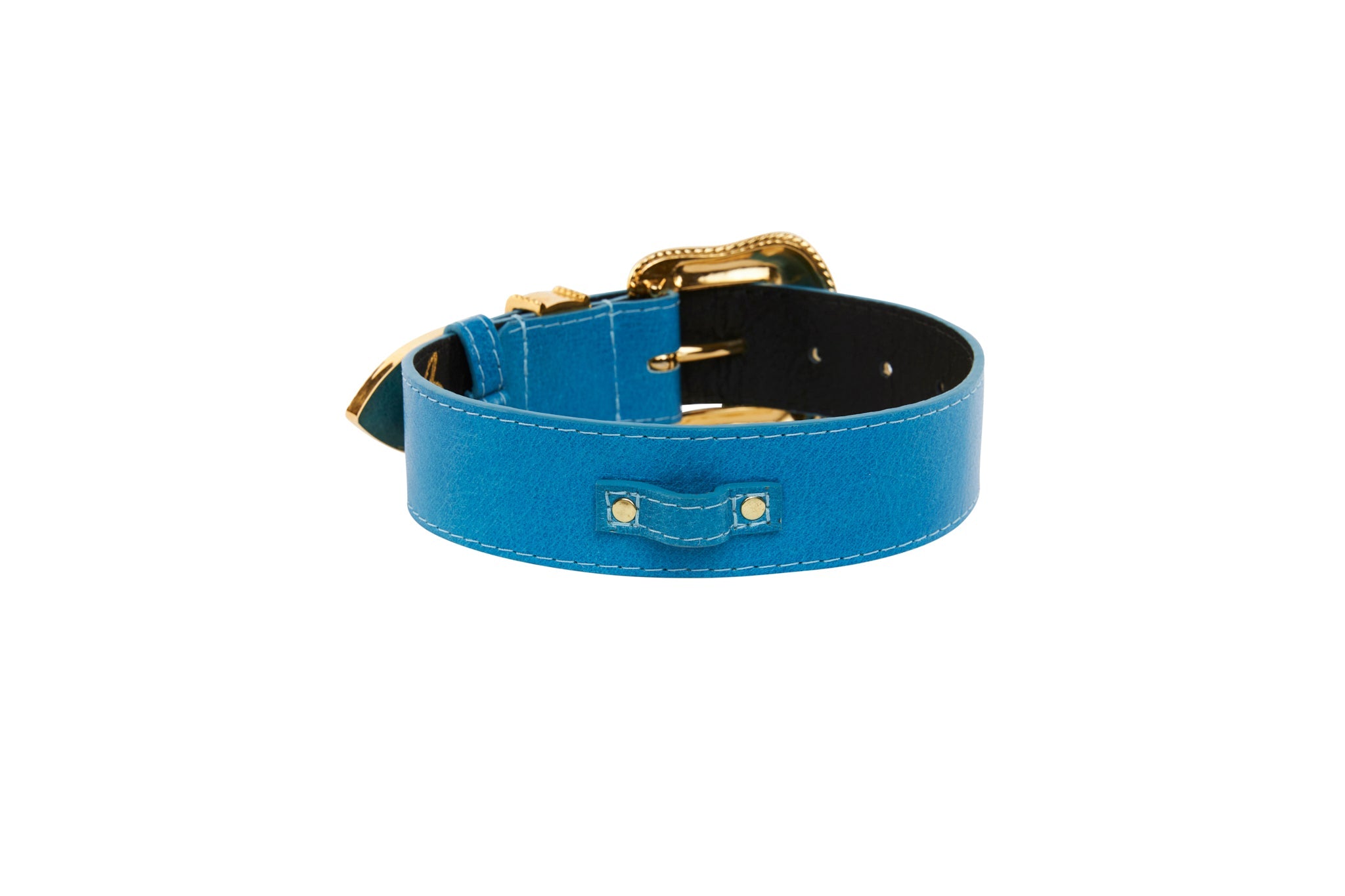 Vegetable Colored Italian Leather Collar with Gold Swarovski Crystal Hardware by Allysa Payne Beverly Hills