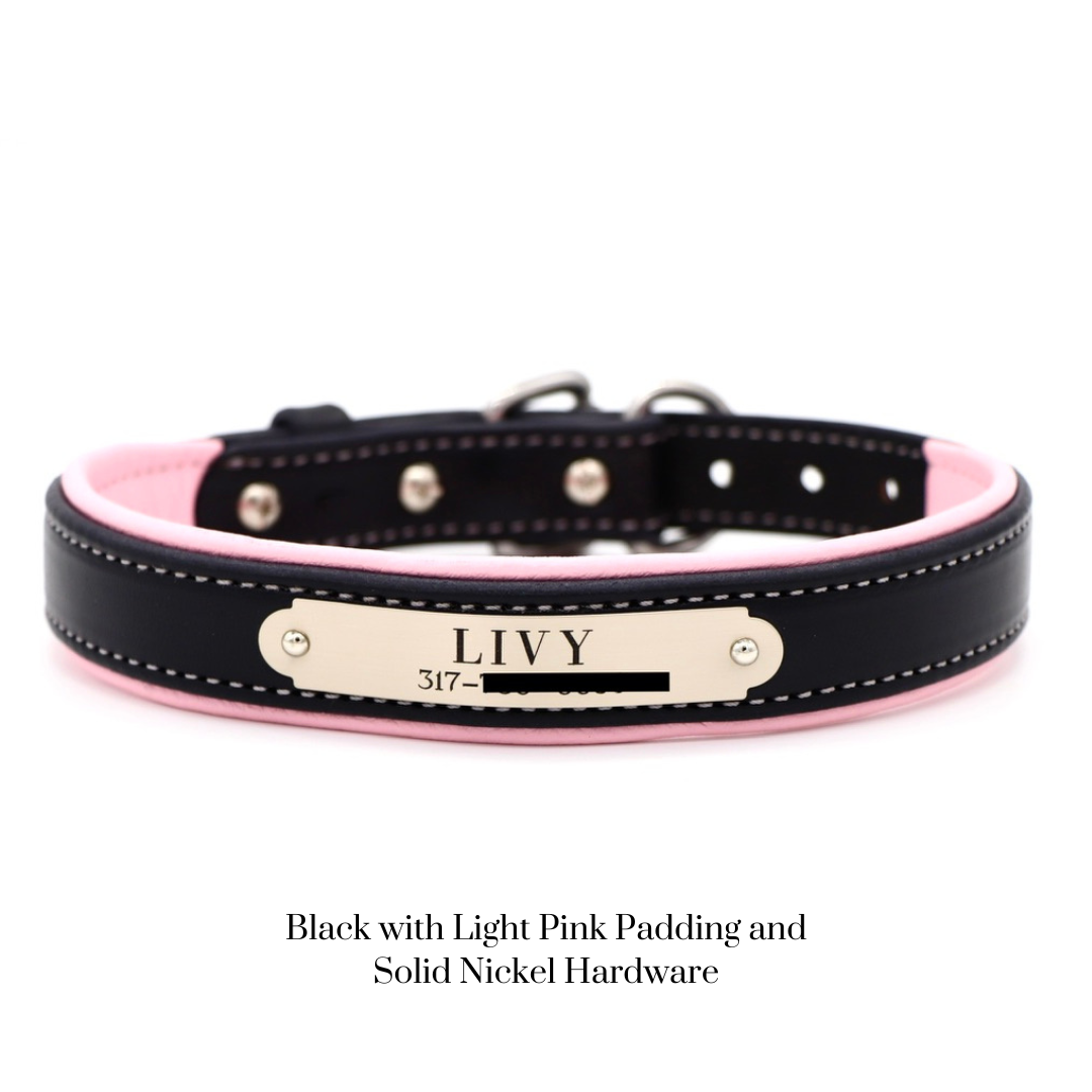 Padded Dog Collar - image 23