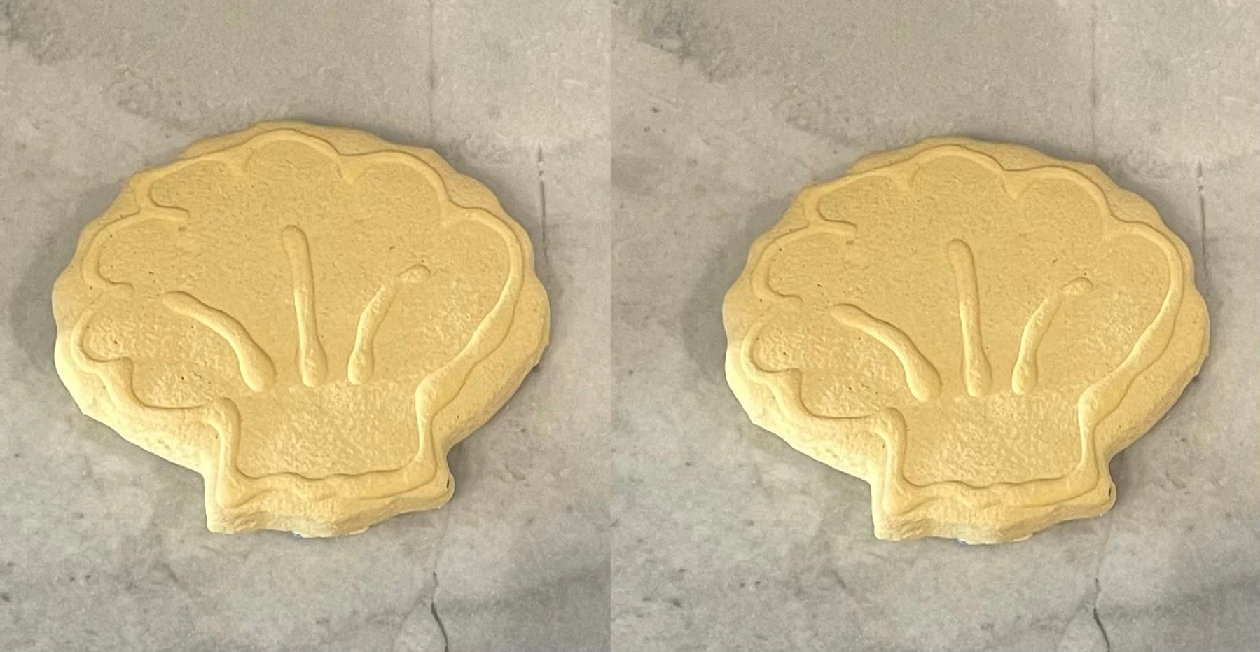 Seashell Treats - Set of 2