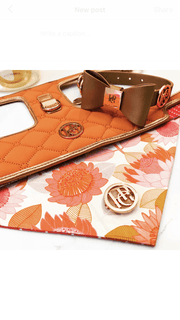 The Cinnamon Dog Harness