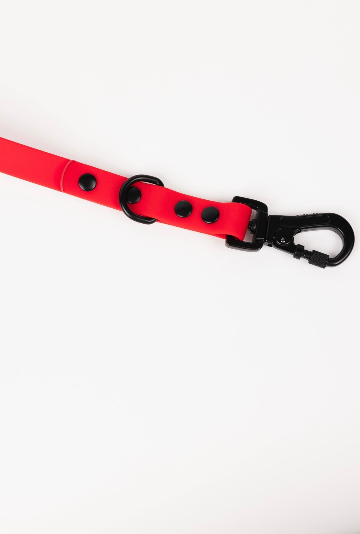 Ruby Red Adjustable Leash by The Modern Dog Company featuring a sturdy clip and black hardware on a vibrant red strap.