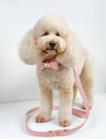 Leather Dog Lead - Peony