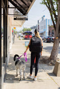 Load image into Gallery viewer, A person walks a dog on a sidewalk, wearing a black outfit and carrying a backpack. The dog has an electric fuchsia collar.

