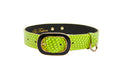 Load image into Gallery viewer, Neon Green Snake/Vintage Black & Gold Italian HardwareCollar
