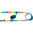Load image into Gallery viewer, Tie-Dye For Leash Kit - Southlake Paws
