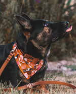 Leather Dog Lead - Cinnamon