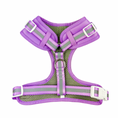 Load image into Gallery viewer, Shine Bright - Amethyst Adjustable Harness
