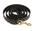 Load image into Gallery viewer, Black & Gold Polka Dot Leash
