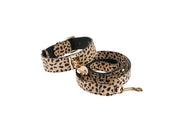 Champagne Gold Leopard Print Italian Leather Reversible Heart Locket/Classic Collar & Leash Set