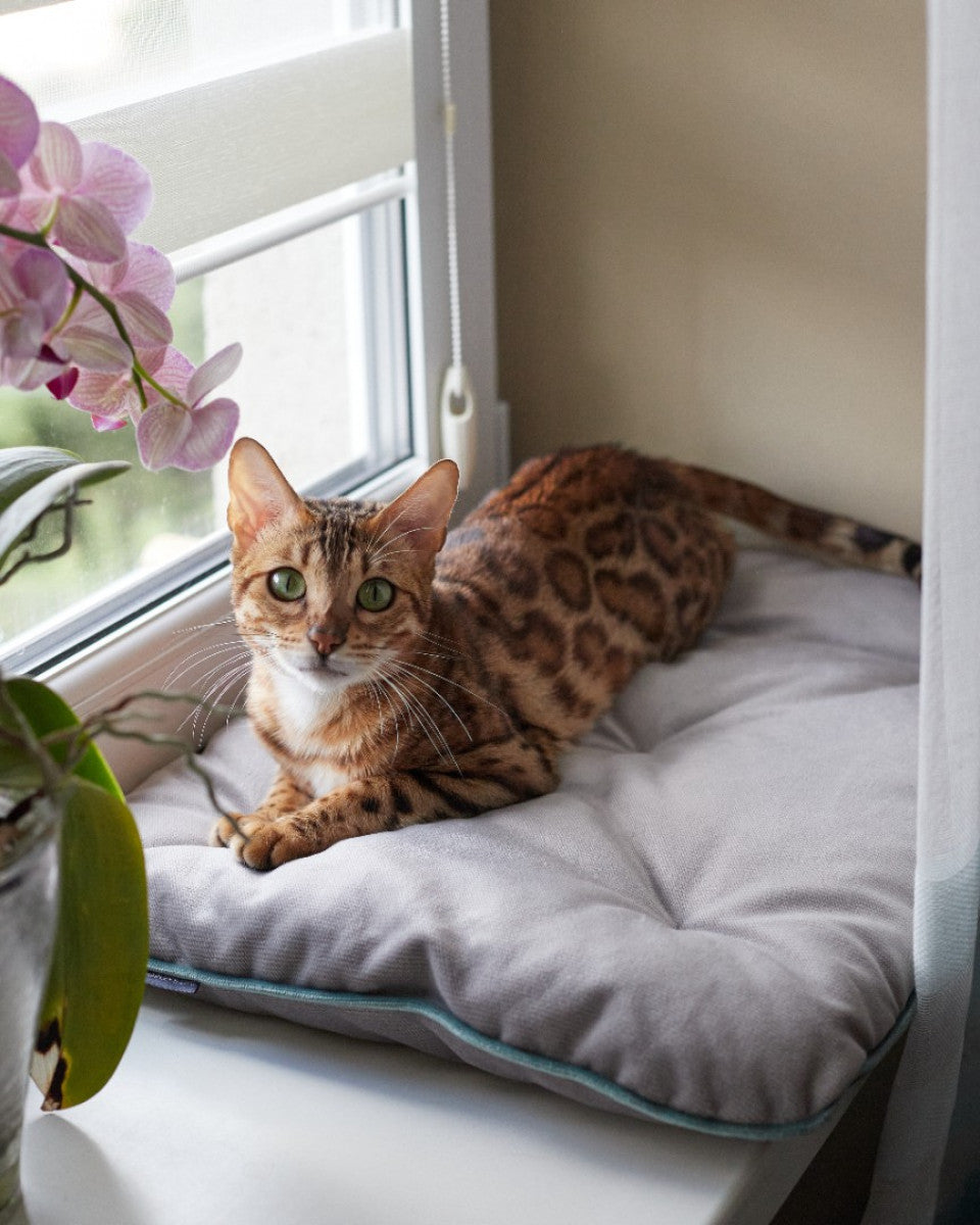 Tomas Pillow for Cats - Southlake Paws