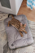 Load image into Gallery viewer, Tomas Pillow for Cats - Southlake Paws
